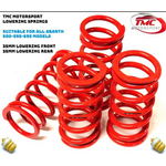TMC/VMAXX Lowering Springs for all Abarth 500,595 and 695 Models